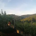 Casa Resineiro Com Garagem E Terraco * Proença-a-Nova