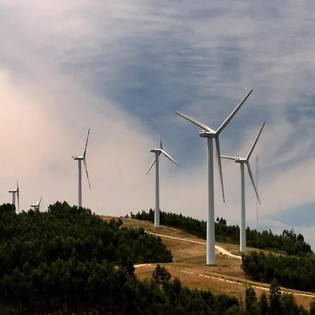 Casa Resineiro Com Garagem E Terraco Casa de Férias Proença-a-Nova