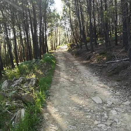 Casa Resineiro Com Garagem E Terraco * Proença-a-Nova