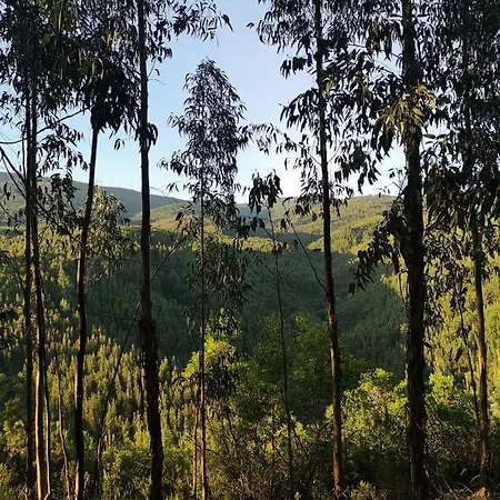 Casa de Férias Casa Resineiro Com Garagem E Terraco Proença-a-Nova