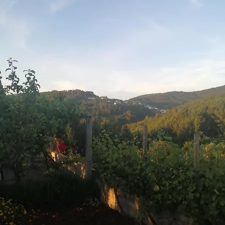 Casa Resineiro Com Garagem E Terraco * Proença-a-Nova