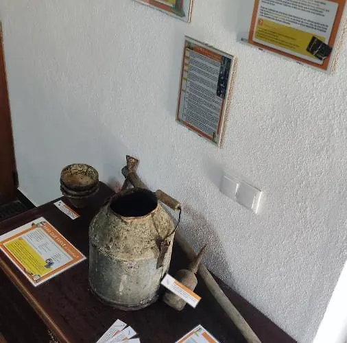 Casa Resineiro Com Garagem E Terraco *