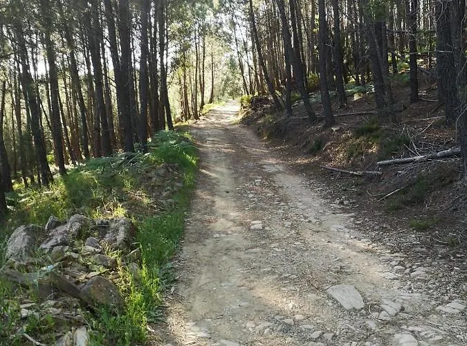 Casa Resineiro Com Garagem E Terraco * Proença-a-Nova