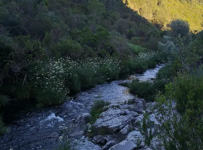 Hébergement de vacances Casa Resineiro Com Garagem E Terraco *