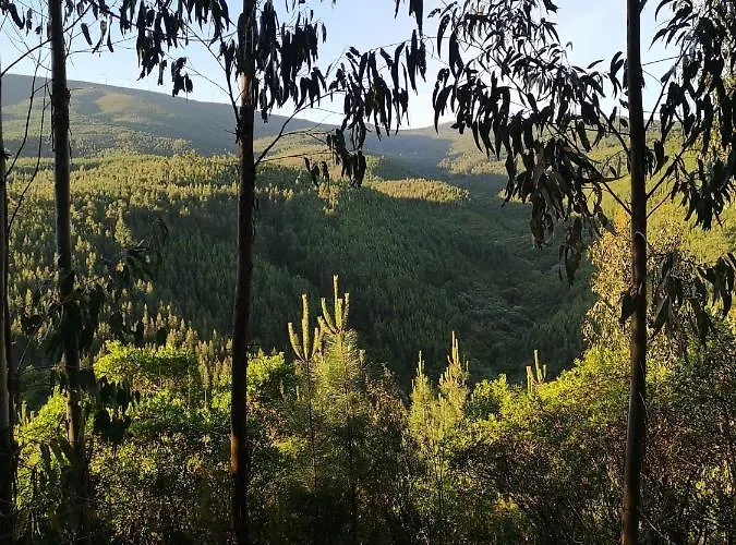 Casa Resineiro Com Garagem E Terraco * Proença-a-Nova