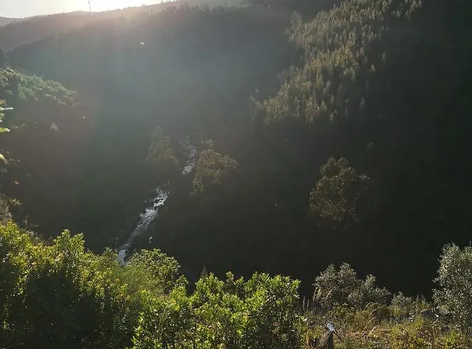 Hébergement de vacances Casa Resineiro Com Garagem E Terraco *