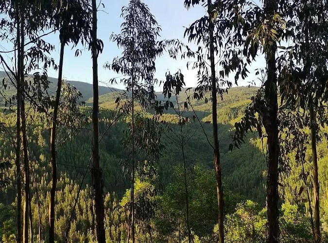 Hébergement de vacances Casa Resineiro Com Garagem E Terraco Proença-a-Nova