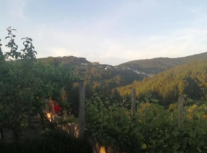 Casa Resineiro Com Garagem E Terraco * Proença-a-Nova